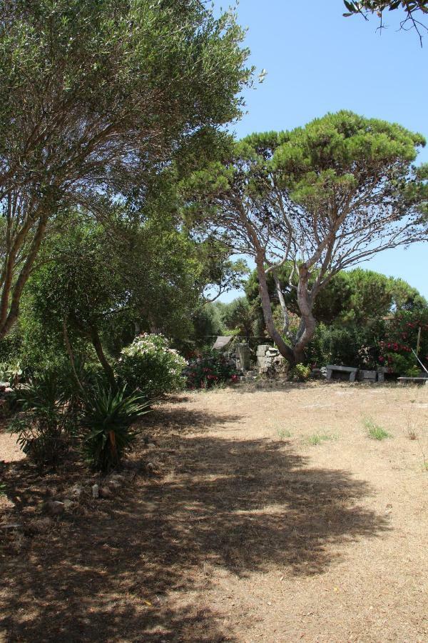 Bed and Breakfast Le 25 Tartarughe Santa Teresa Gallura Exterior foto