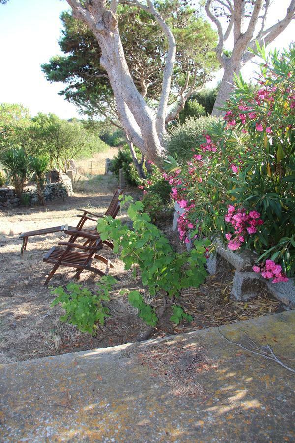 Bed and Breakfast Le 25 Tartarughe Santa Teresa Gallura Exterior foto